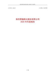 陜西黑貓：2025年年度報告