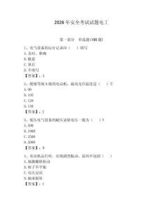 2026年安全考試試題電工【奪分金卷】
