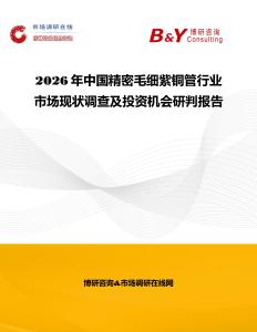 2026年中國精密毛細紫銅管行業市場現狀調查及投資機會研判報告