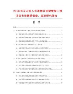 2026年及未來5年直插式鋁塑管銅三通項目市場數據調查、監測研究報告