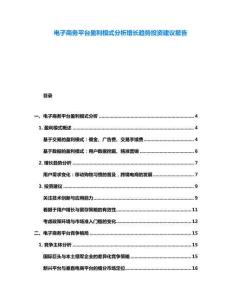 電子商務(wù)平臺(tái)盈利模式分析增長趨勢投資建議報(bào)告