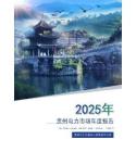 2025年貴州電力市場年度報告