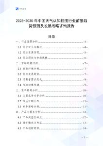 2025-2030年中国天气认知挂图行业前景趋势预测及发展战略咨询报告