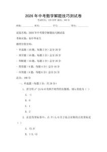 2026年中考數學解題技巧測試卷