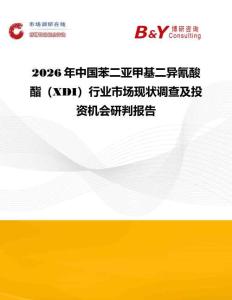 2026年中國苯二亞甲基二異氰酸酯（XDI）行業市場現狀調查及投資機會研判報告