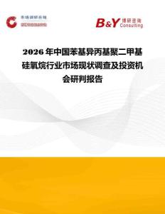 2026年中國苯基異丙基聚二甲基硅氧烷行業市場現狀調查及投資機會研判報告