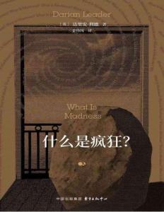 電子書-什么是瘋狂