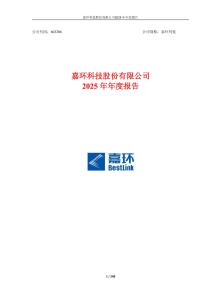 嘉環科技：2025年年度報告