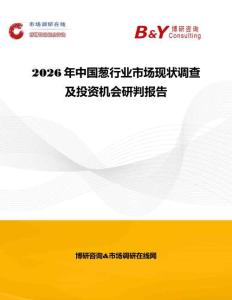 2026年中國蔥行業(yè)市場現(xiàn)狀調(diào)查及投資機(jī)會研判報(bào)告