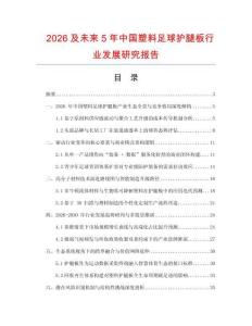 2026及未來5年中國塑料足球護腿板行業發展研究報告