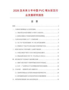 2026及未來5年中國PVC彎頭彩瓦行業發展研究報告