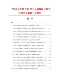 2026及未來5-10年平頭扁銼項目投資價值市場數據分析報告