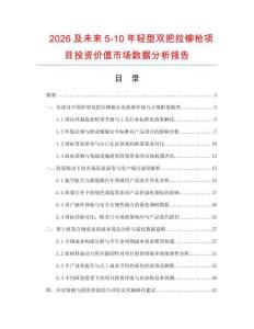 2026及未来5-10年轻型双把拉铆枪项目投资价值市场数据分析报告