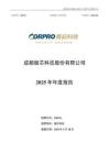 振芯科技：2025年年度報告