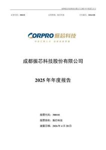 振芯科技：2025年年度報告