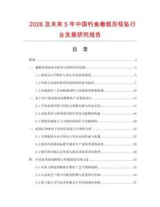 2026及未来5年中国钓鱼橄榄形铅坠行业发展研究报告