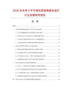 2026及未來5年中國反射型陶瓷金鹵燈行業發展研究報告