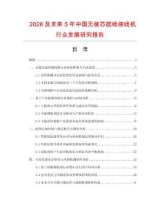2026及未來5年中國無梭芯底線繞線機(jī)行業(yè)發(fā)展研究報告