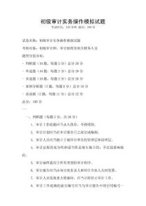 初級審計實務操作模擬試題