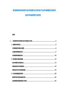 東亞新材料應(yīng)用行業(yè)市場潛力分析及產(chǎn)業(yè)升級路徑與資本運作市場競爭力研究