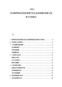 2025-2030俄羅斯西伯利亞資源開(kāi)發(fā)企業(yè)商業(yè)模式創(chuàng)新與投資可行性報(bào)告