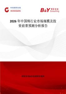 2026年中國鉺行業市場規模及投資前景預測分析報告