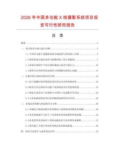 2026年中國多功能X線攝影系統(tǒng)項目投資可行性研究報告