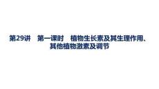 2027屆高三生物一輪復習課件：第8單元　第29講　第一課時　植物生長素及其生理作用、其他植物激素及調節