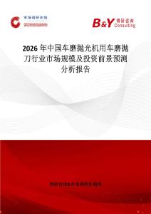2026年中國車磨拋光機用車磨拋刀行業市場規模及投資前景預測分析報告