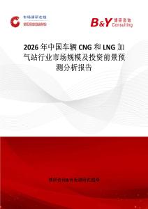 2026年中國車輛CNG和LNG加氣站行業市場規模及投資前景預測分析報告