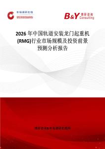 2026年中國軌道安裝龍門起重機(RMG)行業市場規模及投資前景預測分析報告