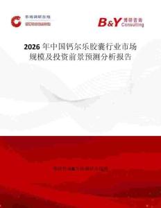 2026年中国钙尔乐胶囊行业市场规模及投资前景预测分析报告