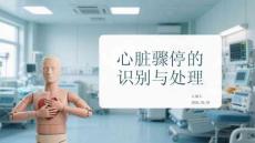 心脏骤停的识别与处理