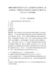 2026西藏阿里地區革吉縣人力資源和社會保障局（醫療保障局）補聘基層勞動就業社會保障公共服務平臺工作