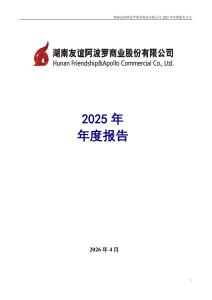 友阿股份：2025年年度報告