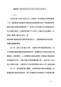 2025 年梅州稅收營商環(huán)境發(fā)展報告