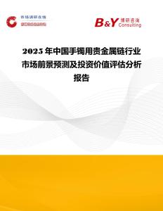 2025年中國手鐲用貴金屬鏈行業市場前景預測及投資價值評估分析報告