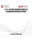 2026年中國飛機敵我識別器行業(yè)市場規(guī)模及競爭格局分析報告