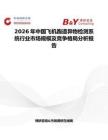 2026年中國飛機跑道異物檢測系統行業市場規模及競爭格局分析報告