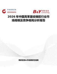 2026年中國高苯基硅橡膠行業市場規模及競爭格局分析報告