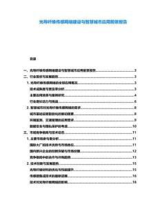 光導(dǎo)纖維傳感網(wǎng)絡(luò)建設(shè)與智慧城市應(yīng)用前景報告