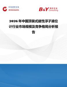 2026年中國頂裝式磁性浮子液位計(jì)行業(yè)市場(chǎng)規(guī)模及競(jìng)爭(zhēng)格局分析報(bào)告