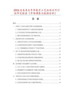 2026及未來5年布制手工藝品項目可行性研究報告（市場調查與數據分析）