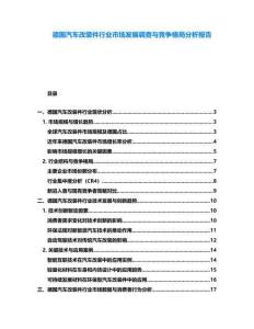 德國汽車改裝件行業市場發展調查與競爭格局分析報告