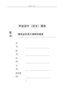 银花泌炎灵片场研究报告
