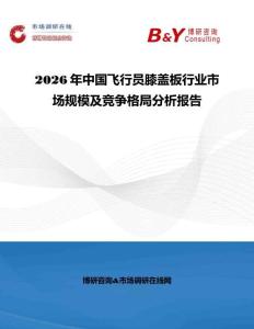 2026年中國飛行員膝蓋板行業市場規模及競爭格局分析報告