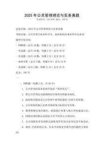 2025年公共管理理论与实务真题