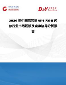 2026年中國高容量SPI NOR閃存行業(yè)市場規(guī)模及競爭格局分析報告