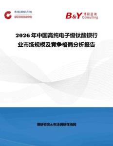 2026年中國高純電子級鈦酸鋇行業市場規模及競爭格局分析報告