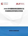 2026年中國鱷梨果實提取物行業市場規模及競爭格局分析報告
